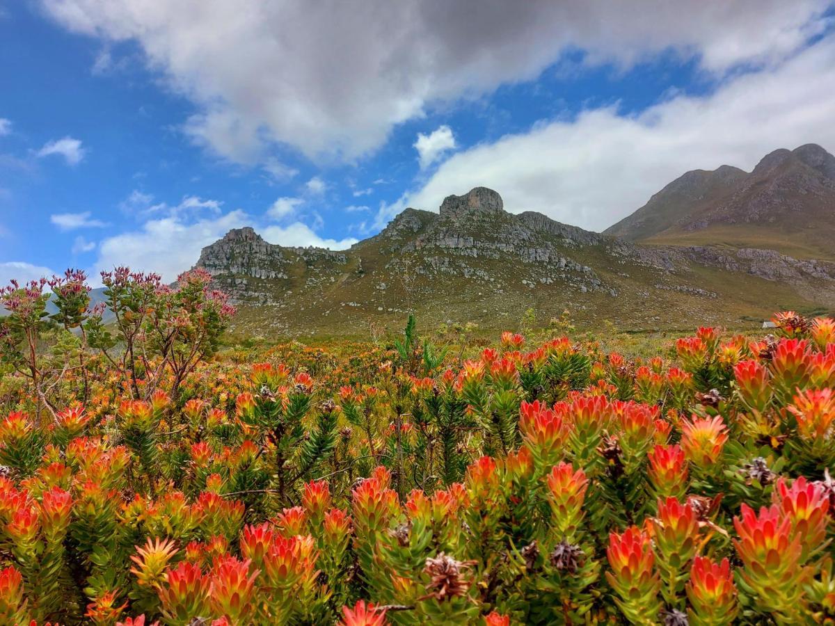 La Mer Seafront Selfcatering Accommodation Kleinmond Zewnętrze zdjęcie